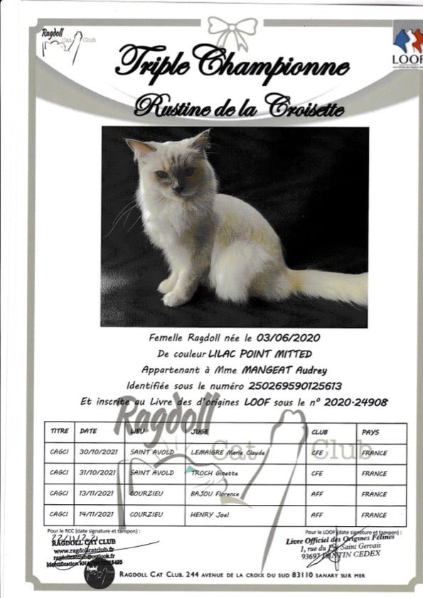 diplome titre champion Rustine