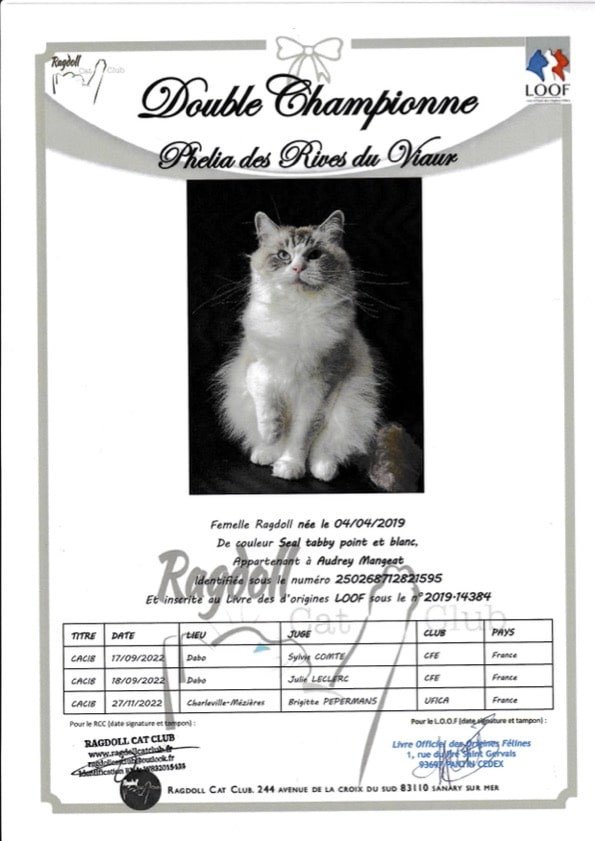 Diplome double champion Phelia
