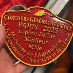 CGA 2025 medaille