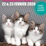 FILE18063-min FILE18063-min